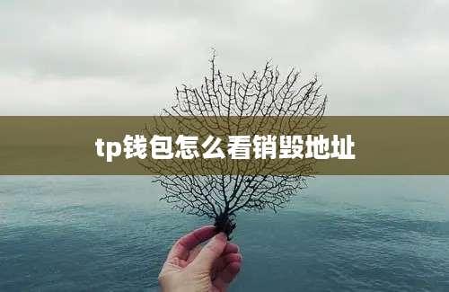 tp钱包怎么看销毁地址