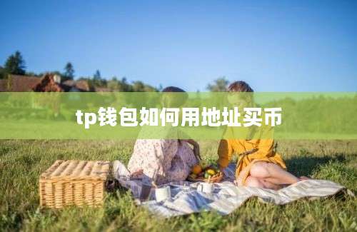 tp钱包如何用地址买币