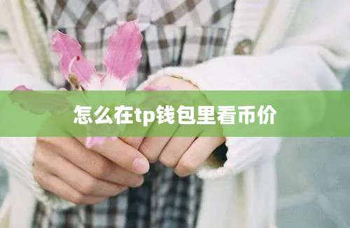 怎么在tp钱包里看币价