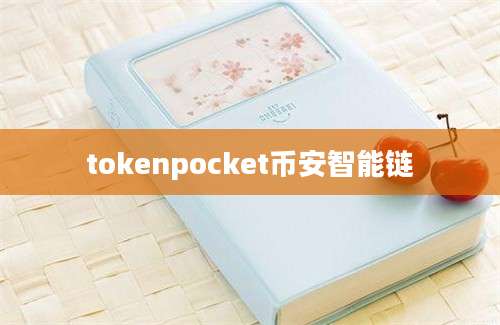 tokenpocket币安智能链