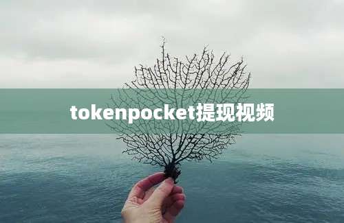 tokenpocket提现视频