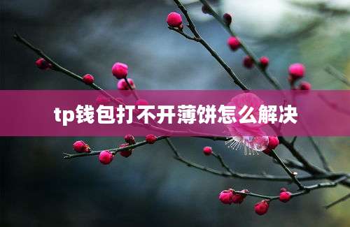 tp钱包打不开薄饼怎么解决