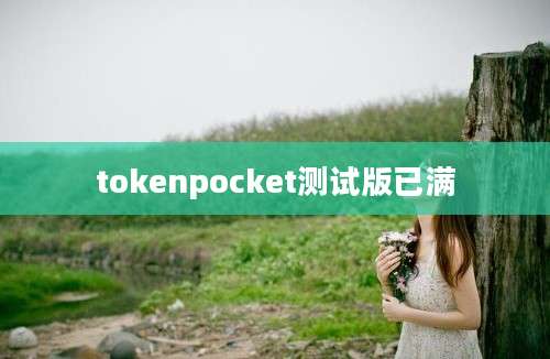 tokenpocket测试版已满