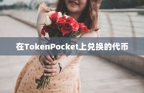 在TokenPocket上兑换的代币