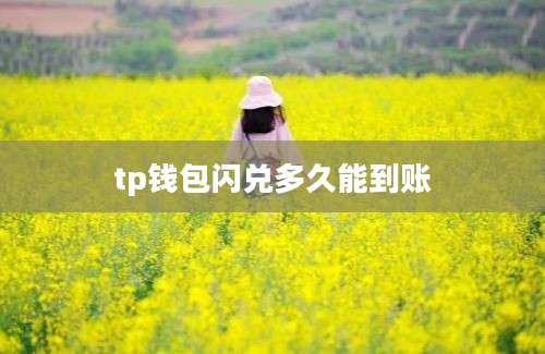 tp钱包闪兑多久能到账