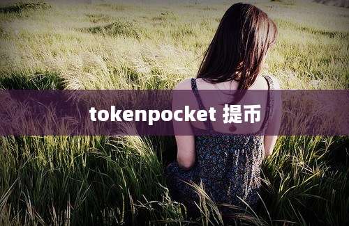 tokenpocket 提币