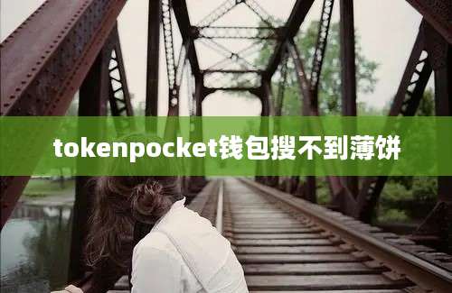 tokenpocket钱包搜不到薄饼