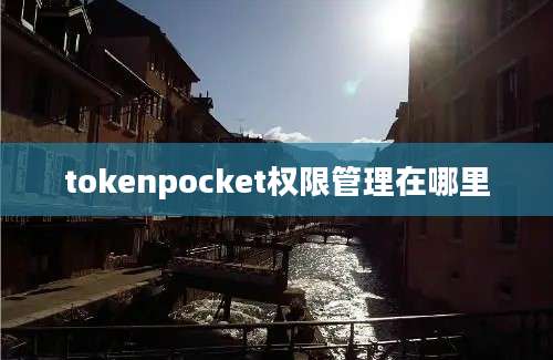 tokenpocket权限管理在哪里