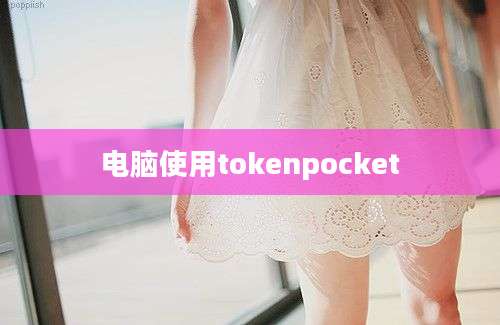 电脑使用tokenpocket