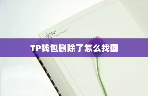 TP钱包删除了怎么找回