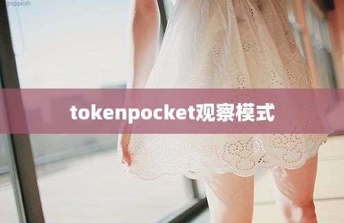 tokenpocket观察模式