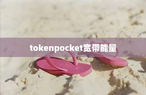 tokenpocket宽带能量