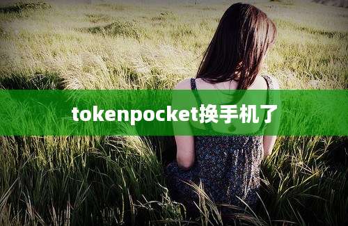 tokenpocket换手机了