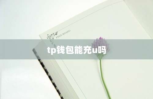 tp钱包能充u吗