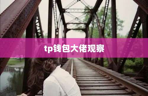 tp钱包大佬观察