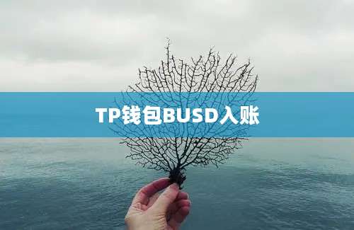 TP钱包BUSD入账