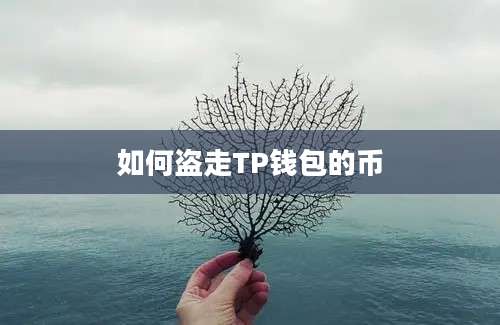 如何盗走TP钱包的币