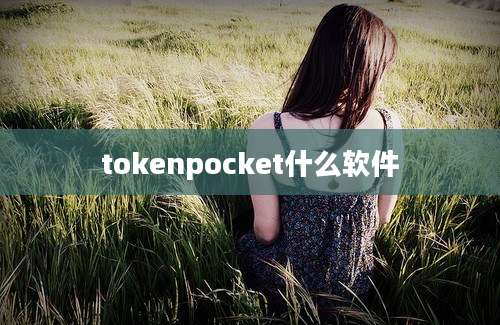 tokenpocket什么软件