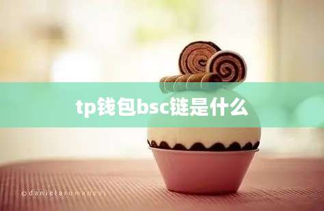 tp钱包bsc链是什么