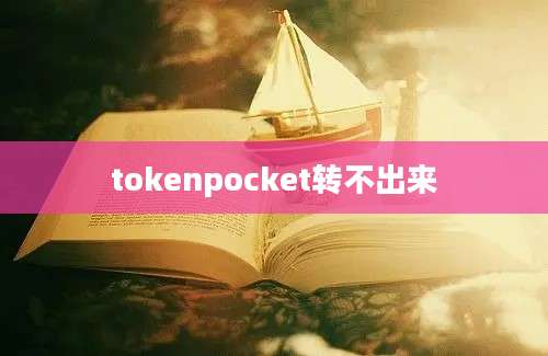 tokenpocket转不出来