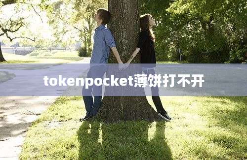 tokenpocket薄饼打不开