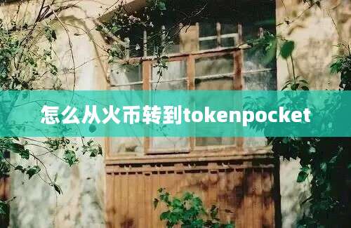 怎么从火币转到tokenpocket