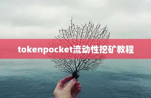 tokenpocket流动性挖矿教程