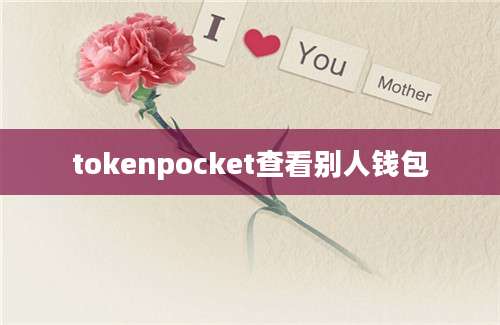 tokenpocket查看别人钱包