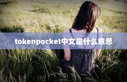 tokenpocket中文是什么意思