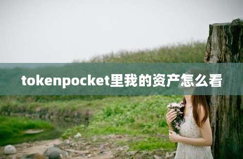 tokenpocket里我的资产怎么看