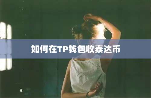 如何在TP钱包收泰达币