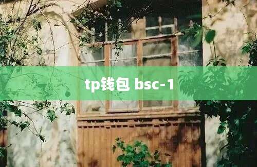 tp钱包 bsc-1