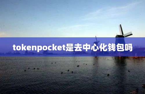 tokenpocket是去中心化钱包吗