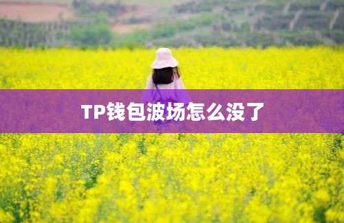 TP钱包波场怎么没了