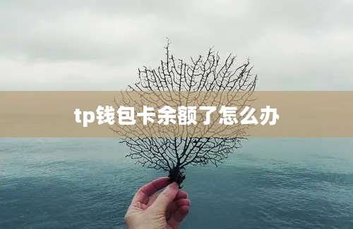 tp钱包卡余额了怎么办