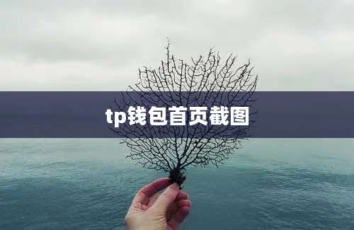 tp钱包首页截图