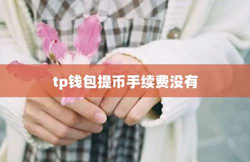 tp钱包提币手续费没有