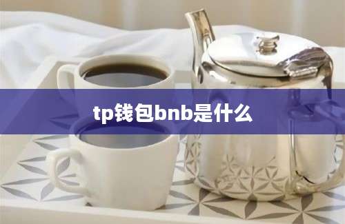 tp钱包bnb是什么