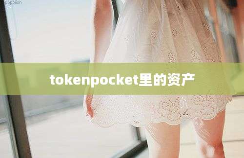 tokenpocket里的资产