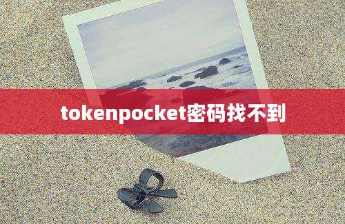 tokenpocket密码找不到