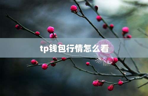 tp钱包行情怎么看