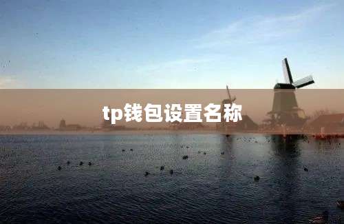 tp钱包设置名称