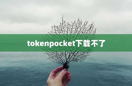 tokenpocket下载不了