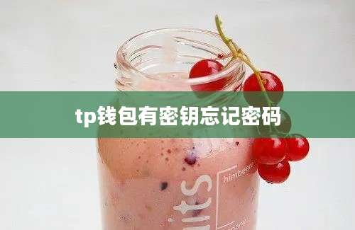 tp钱包有密钥忘记密码