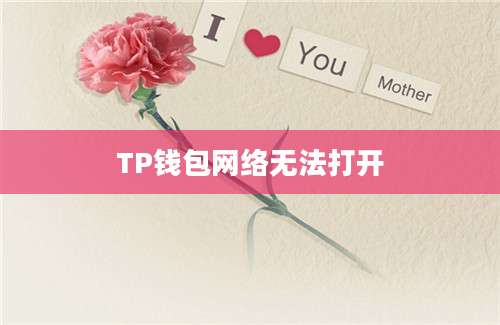 TP钱包网络无法打开