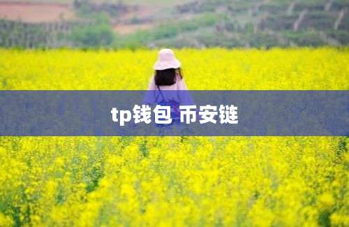 tp钱包 币安链