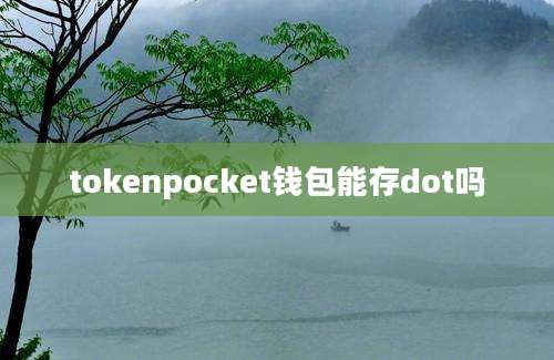 tokenpocket钱包能存dot吗