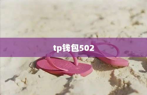 tp钱包502