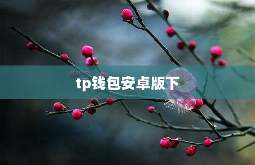 tp钱包安卓版下