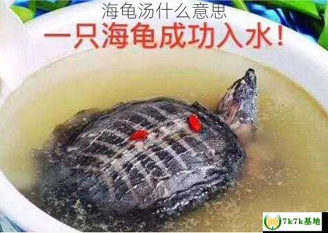 海龟汤什么意思